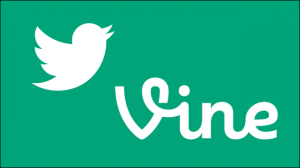 vine logo